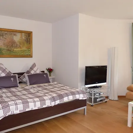 Schwarzwaldturmzimmer Lahr Lahr  Room photo